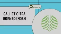 Gaji PT Citra Borneo Indah