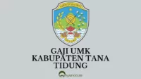 Gaji UMK Kabupaten Tana Tidung