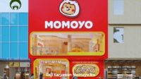 Gaji Karyawan Momoyo Ice Cream