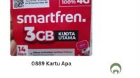 0889 Kartu Apa