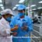 Gaji PT Polygroup Manufaktur Indonesia