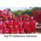 Gaji PT Halliburton Indonesia